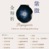《紫微斗數．全解析》— 從命格到流年，掌握人生節奏與變化關鍵