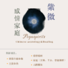 《紫微斗數．感情家庭》— 關係、情感與連結