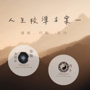 《人生校準方案一》<br>紫微斗數命盤全解析 ＋占卜